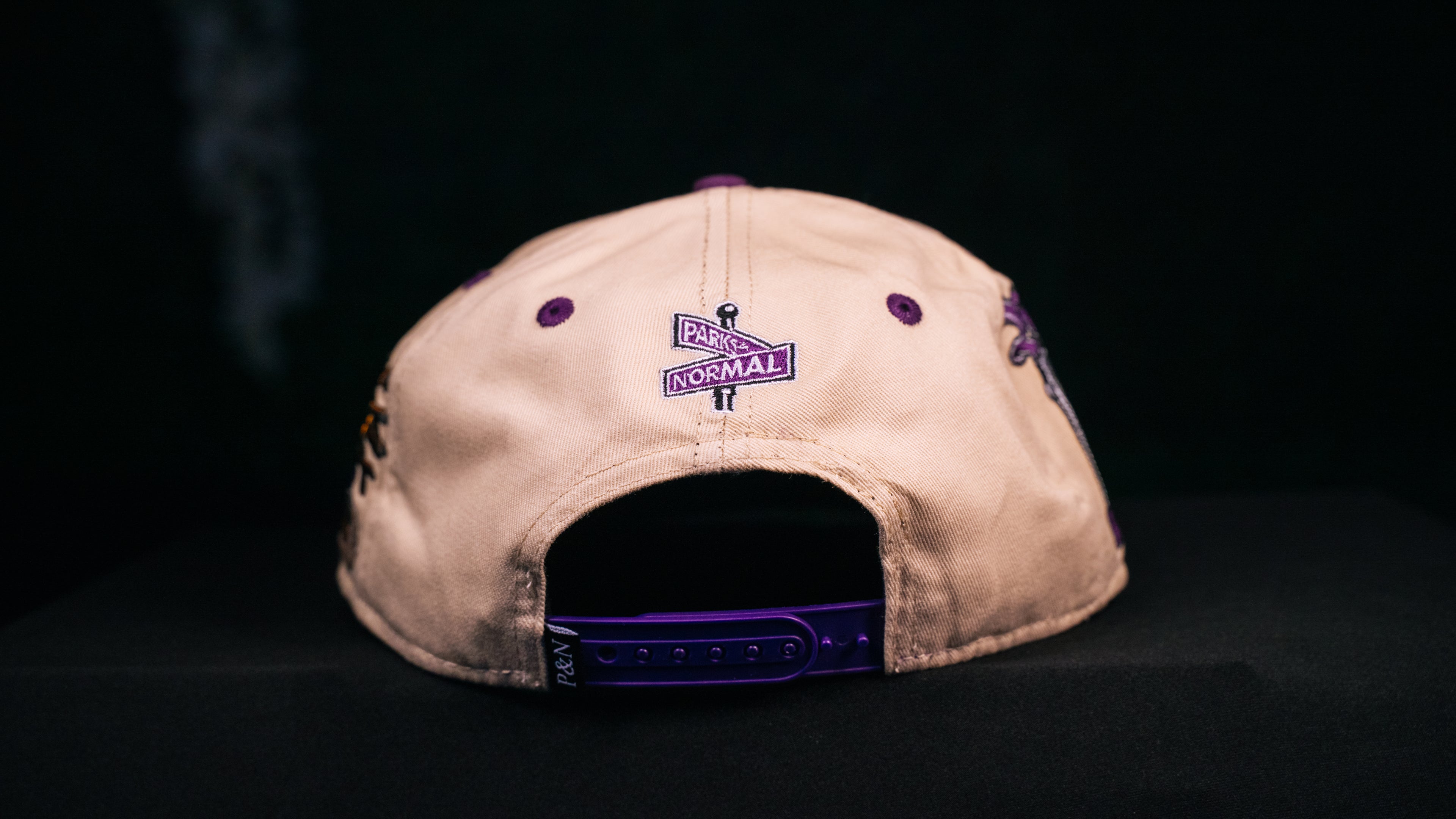 JABBER SNAPBACK CAP