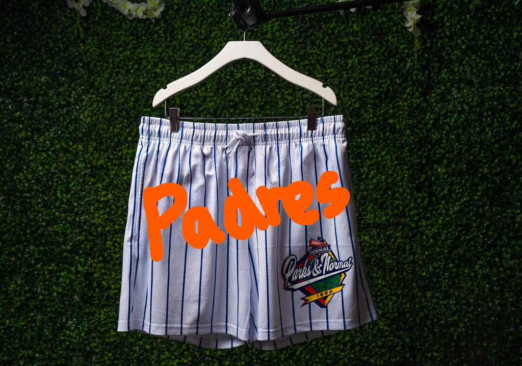 SD 98 NAVY ORANGE PINSTRIPE MESH SHORTS