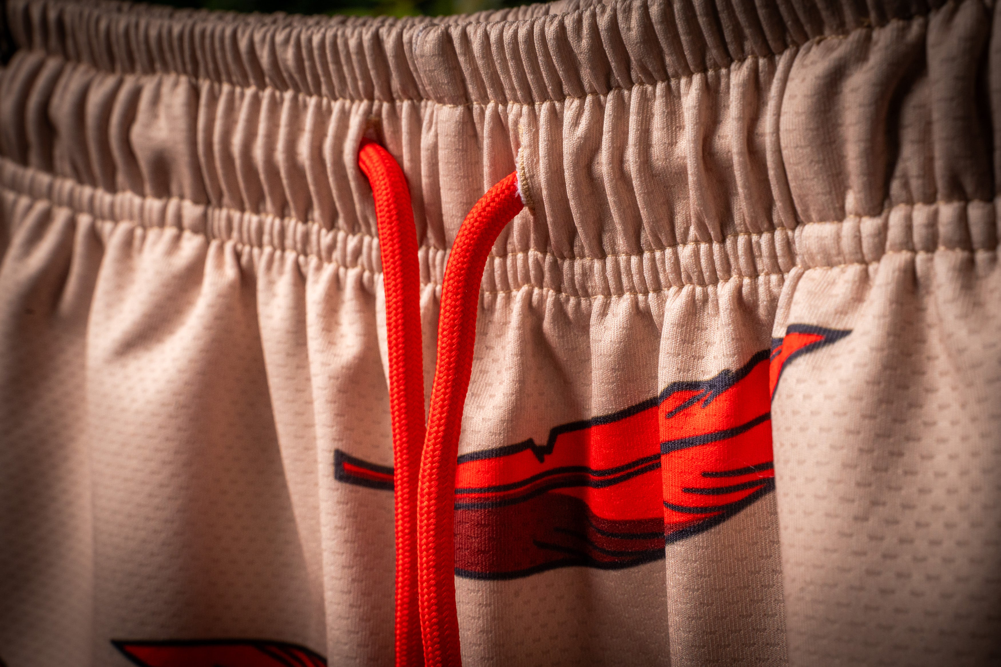 FIERCE WING MESH SHORTS