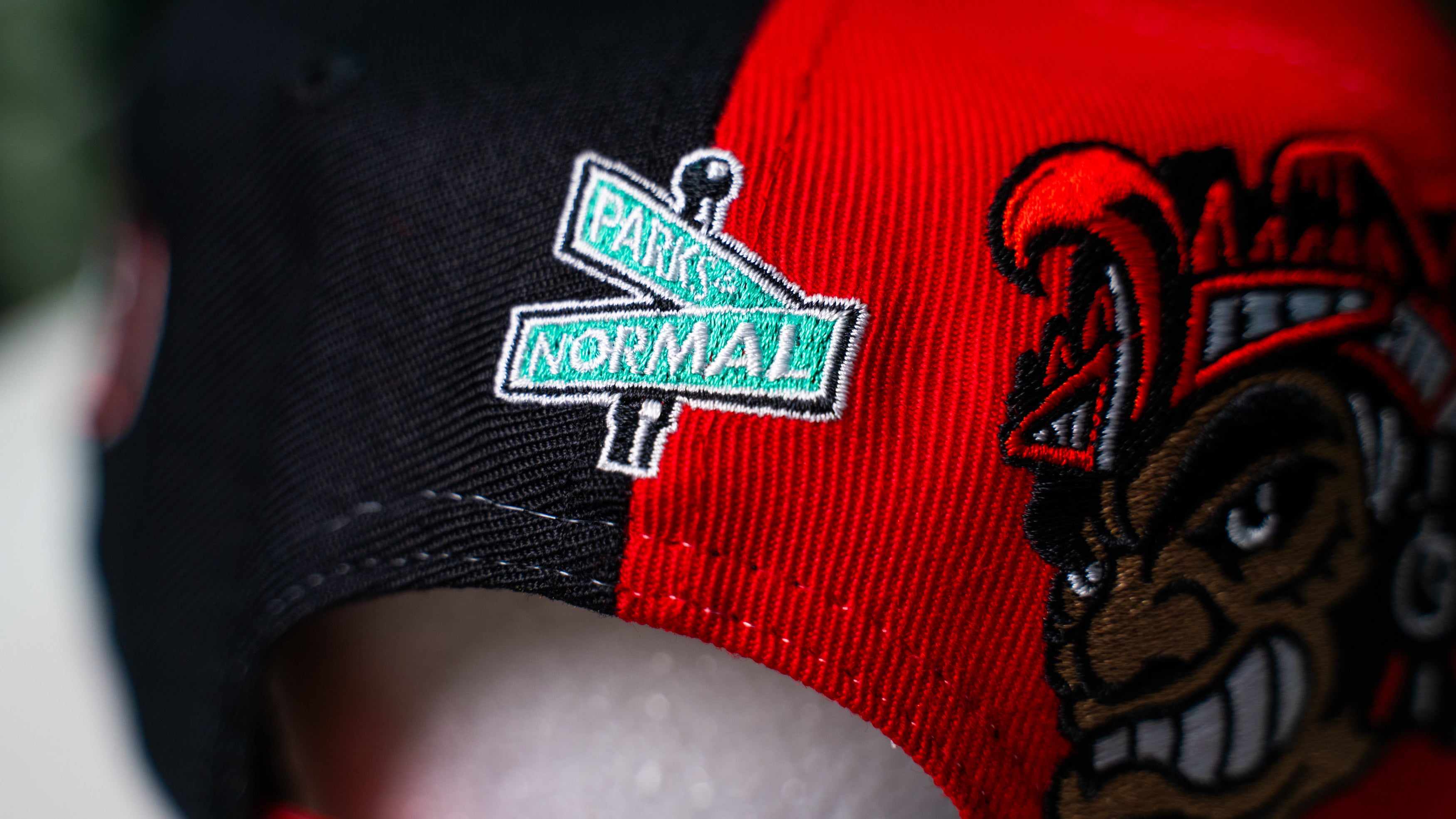 SD MONTY AZTEC SNAPBACK CAP