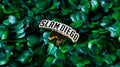 SLAM DIEGO BRIM CLIP