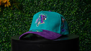 PHOENIX TURQUOISE & PURPLE CORDUROY SNAPBACK CAP