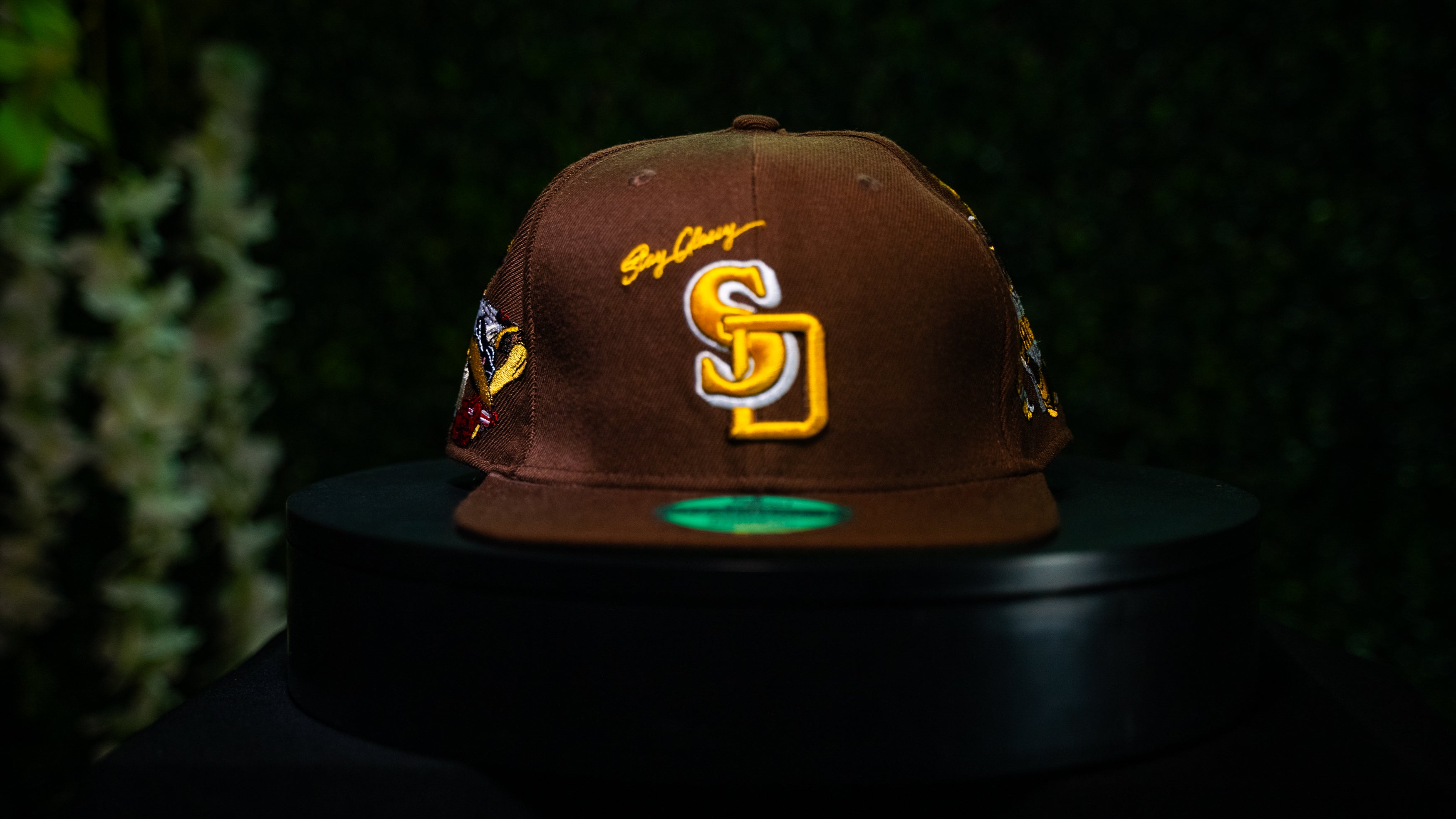SD TEAM 2025 CAP