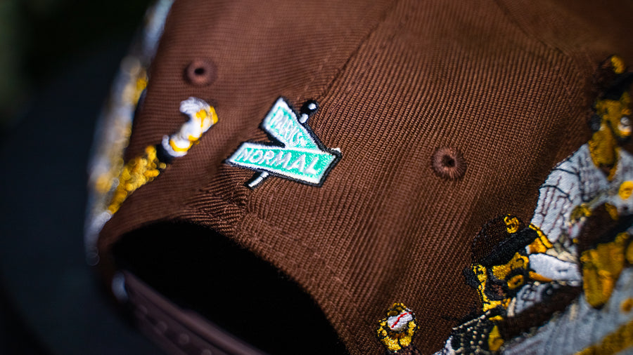 SD TEAM 2025 CAP