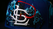 SL ARISE CAP