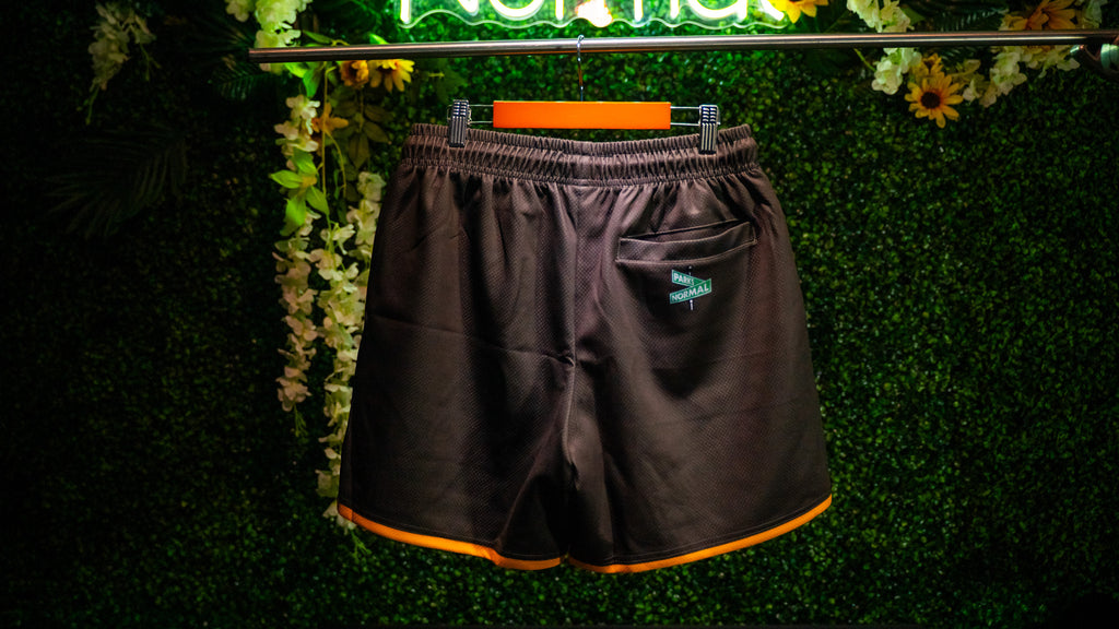 SD BROWN & GOLD MESH SHORTS
