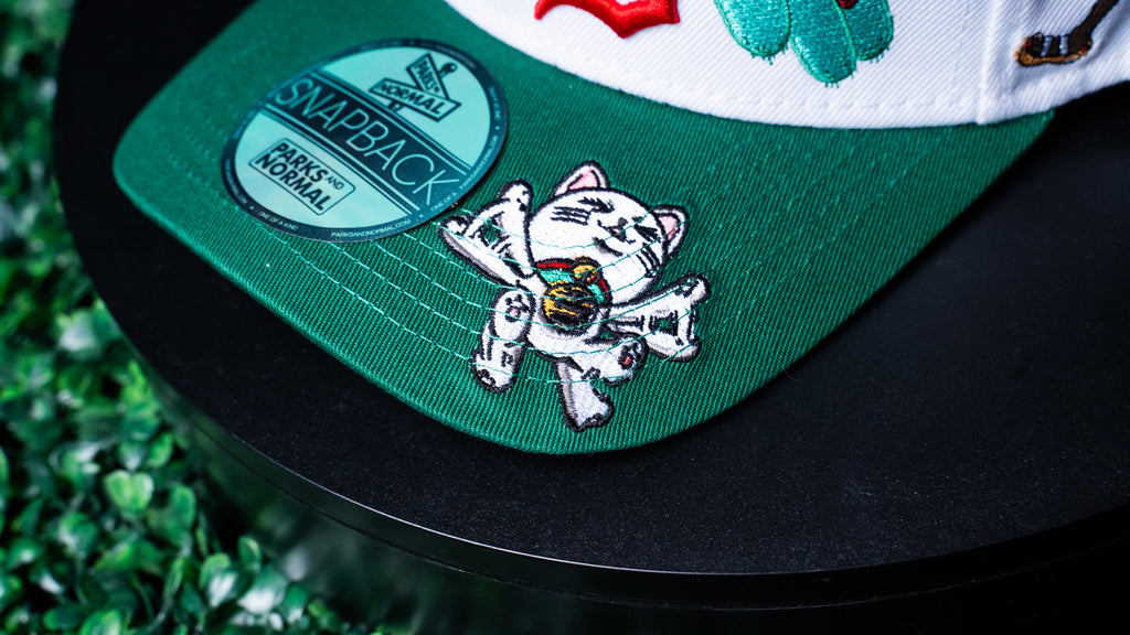 DDD OCCULT CLUB TURBO CAT EDITION CAP