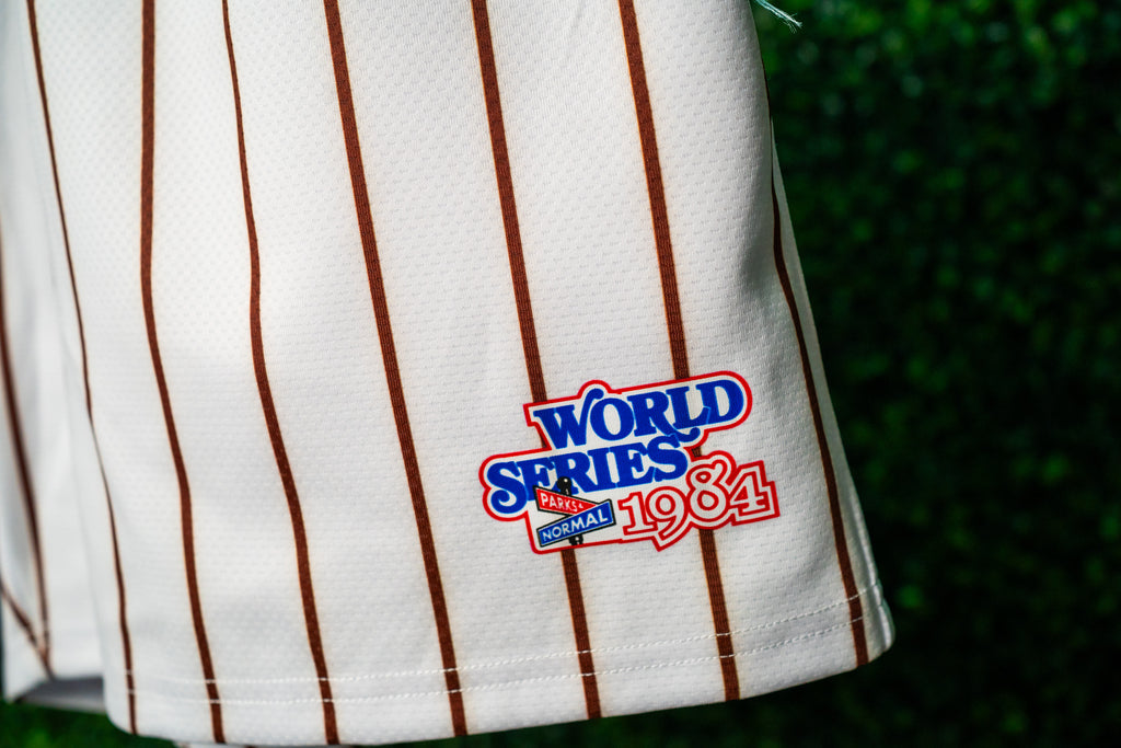 SD 80'S BROWN ORANGE PINSTRIPE MESH SHORTS