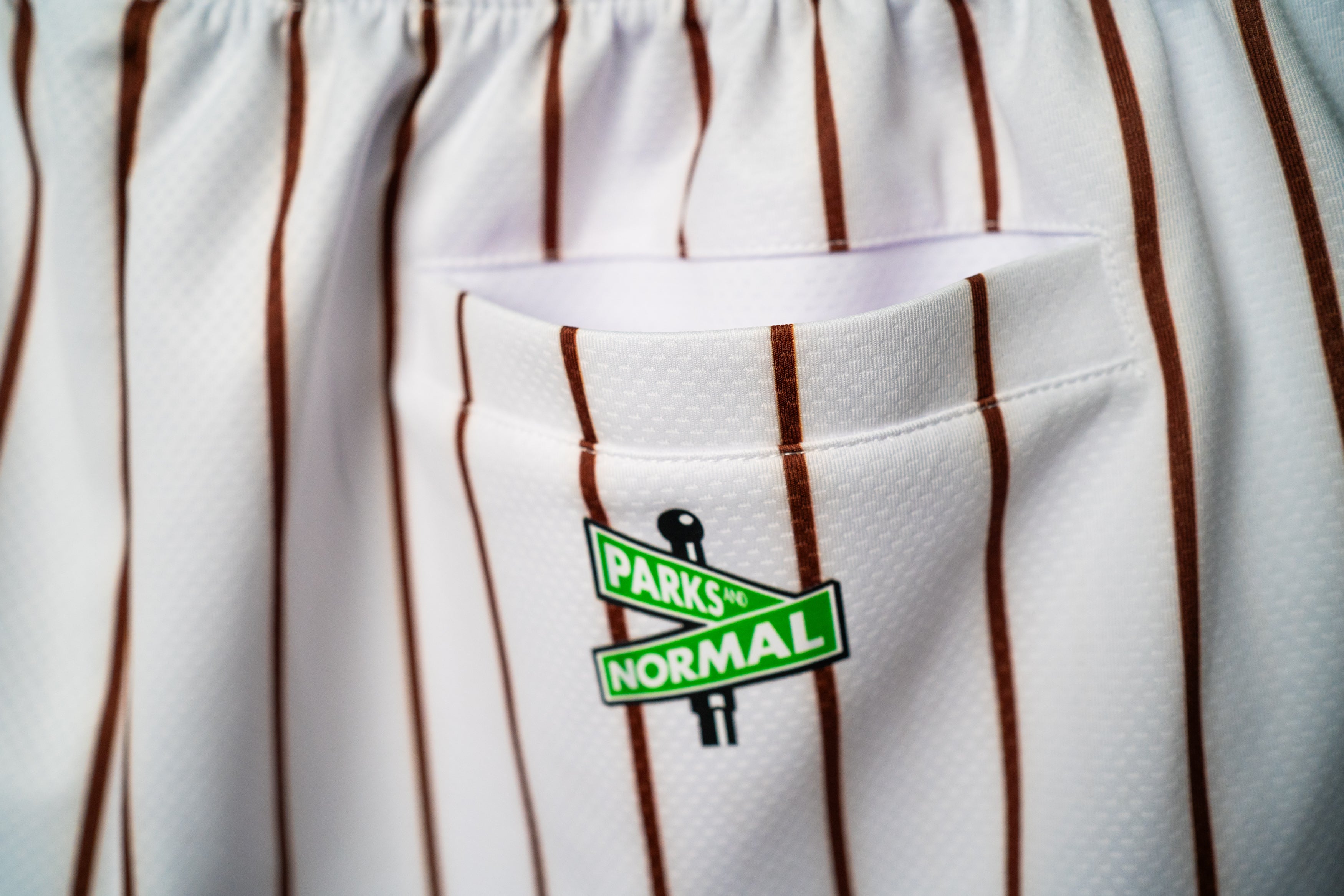 SD 80'S BROWN ORANGE PINSTRIPE MESH SHORTS