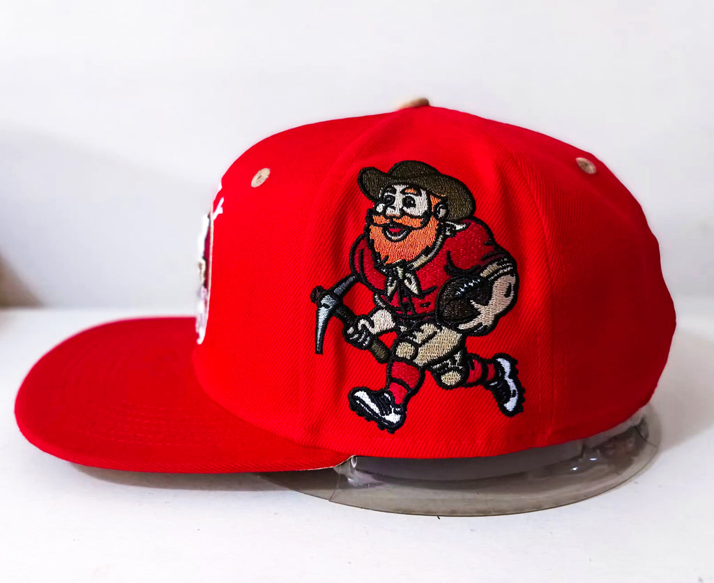 [PRE-ORDER READ DESCRIPTION] SF NINER SAM CAP