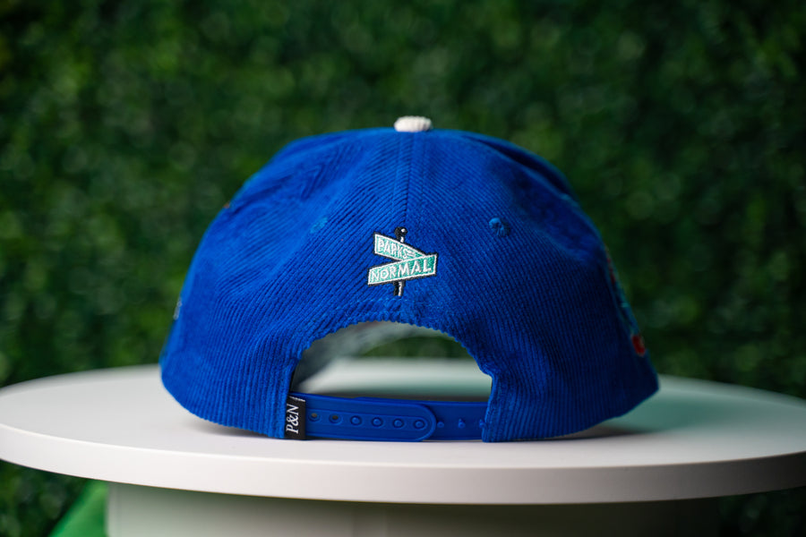 LA BLUE & WHITE CORDUROY SNAPBACK CAP