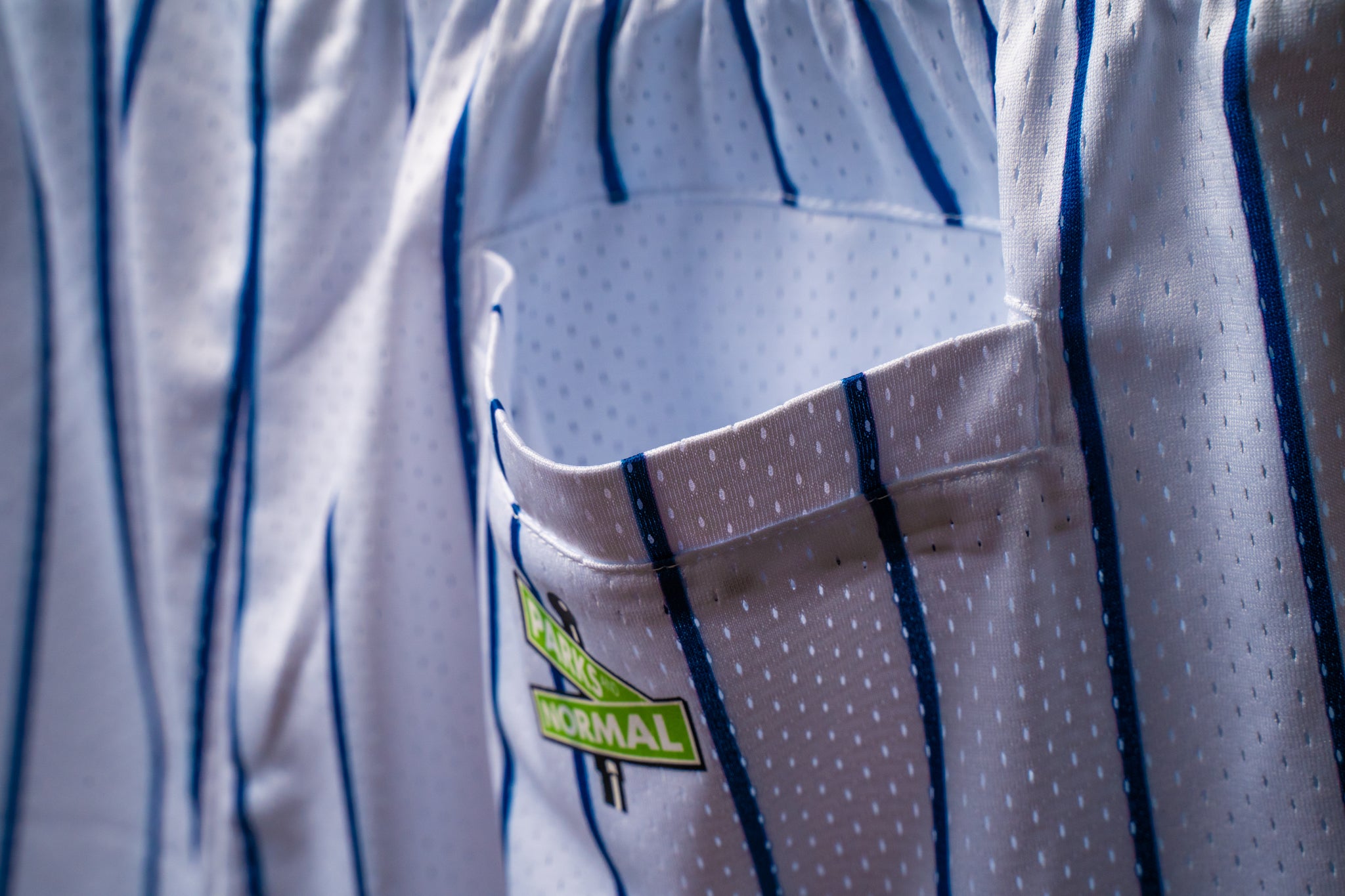 SD 98 NAVY ORANGE PINSTRIPE MESH SHORTS