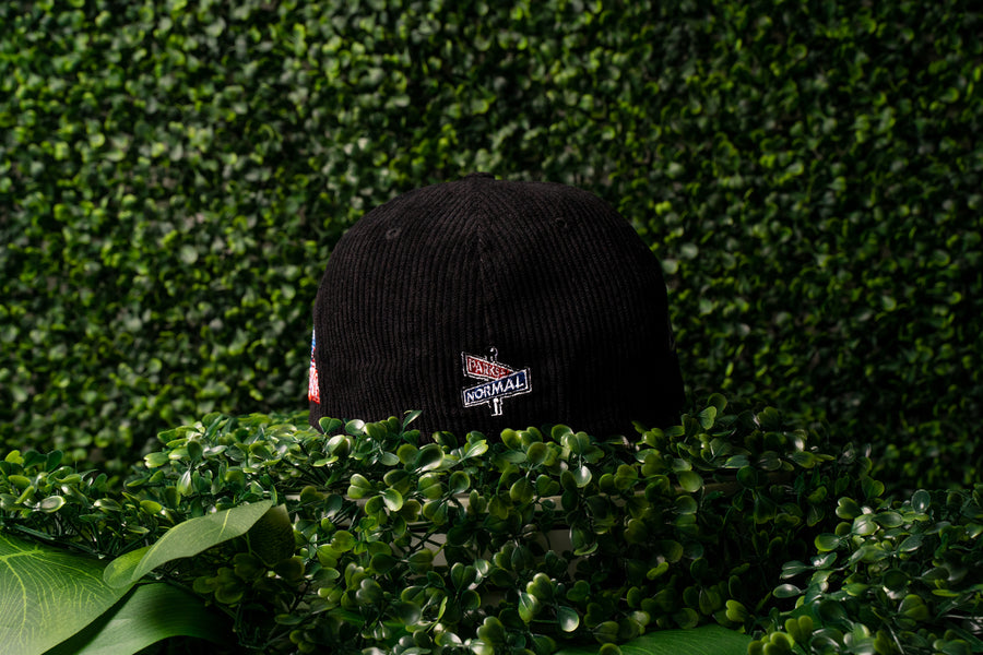 SD MIDNIGHT BLACK CORDUROY FITTED CAP