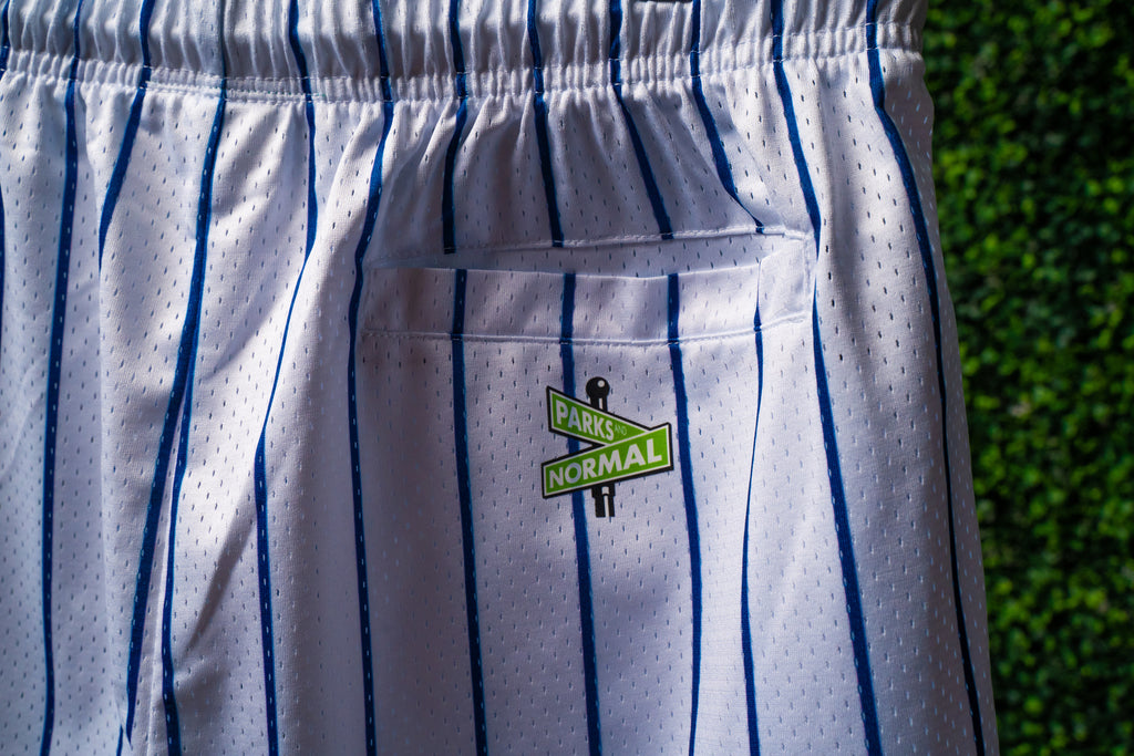 SD 98 NAVY ORANGE PINSTRIPE MESH SHORTS